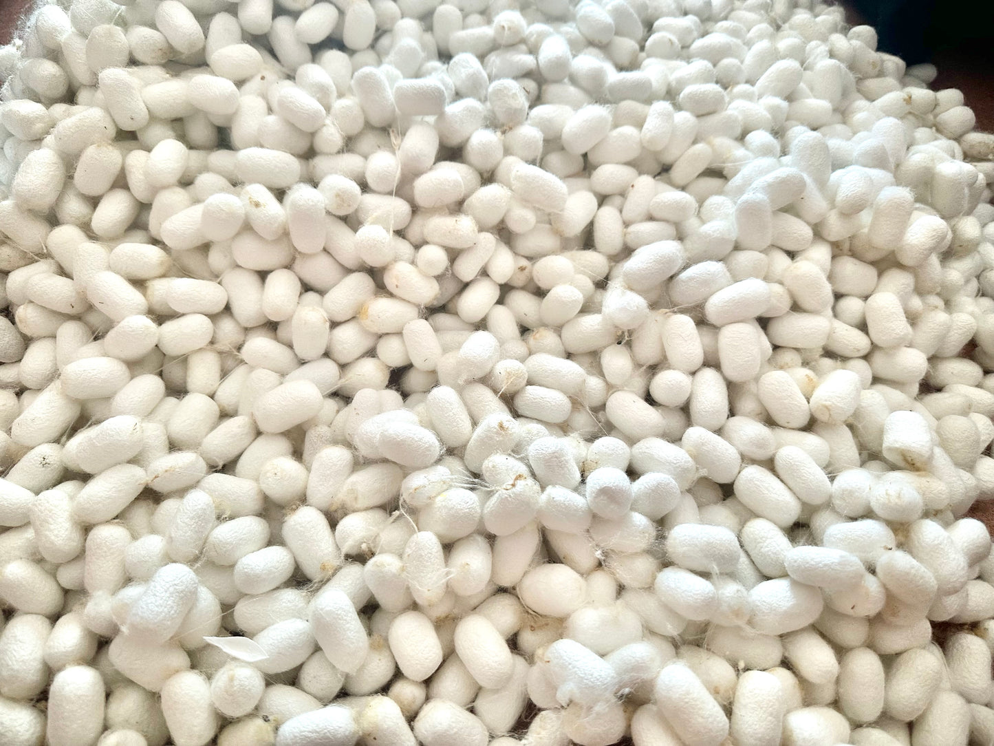 Cocoon Silk - 100% Natural Exfoliating Cocoons