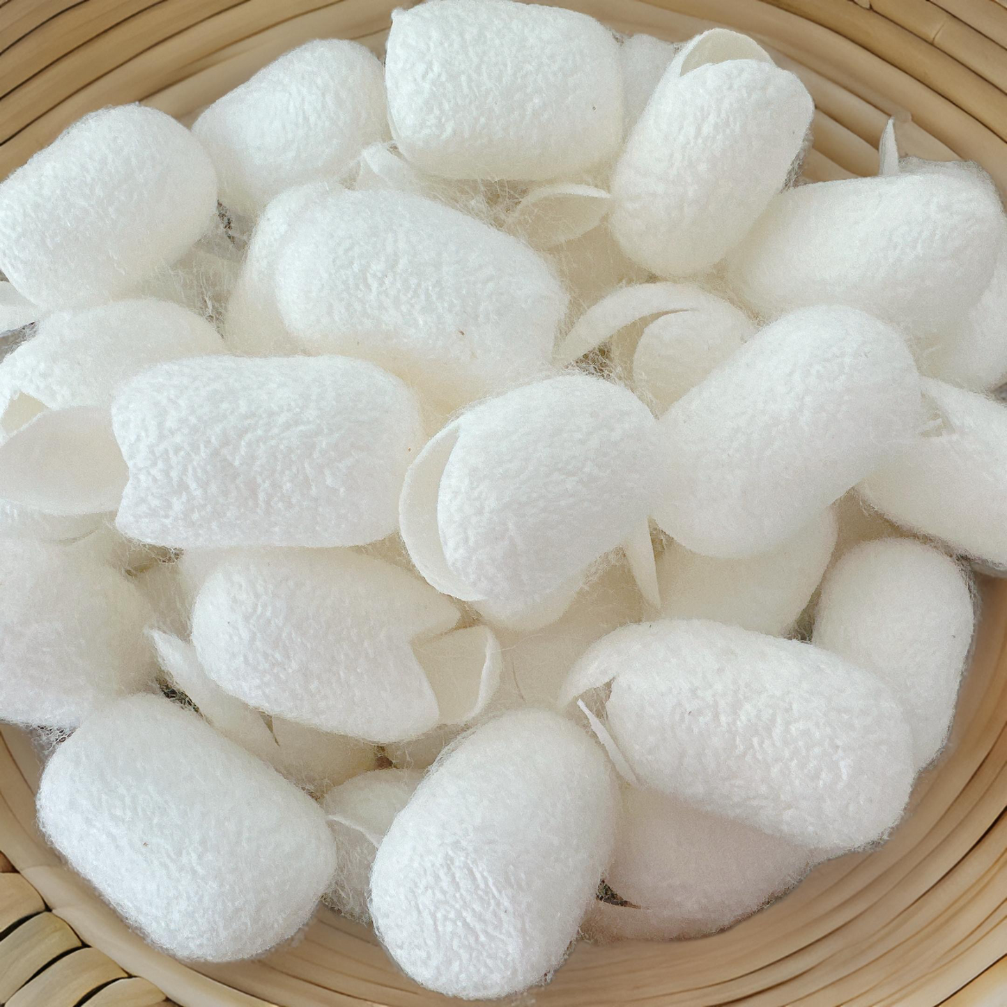 Cocoon Silk - 100% Natural Exfoliating Cocoons